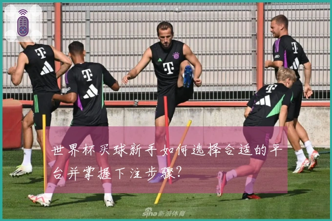 世界杯买球新手如何选择合适的平台并掌握下注步骤？