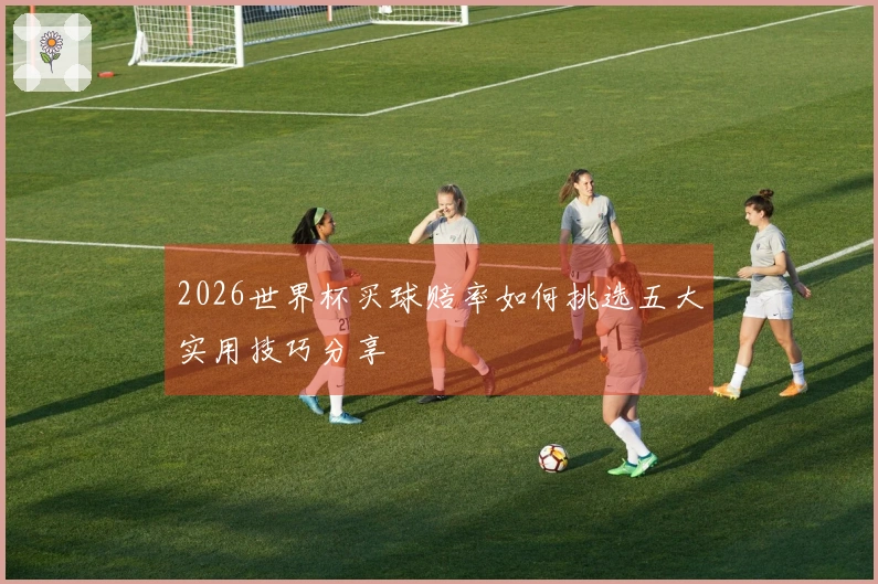 2026世界杯买球赔率如何挑选五大实用技巧分享