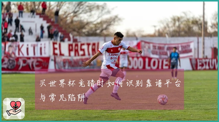 买世界杯竞猜时如何识别靠谱平台与常见陷阱