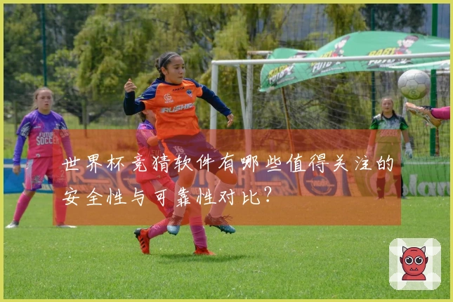 世界杯竞猜软件有哪些值得关注的安全性与可靠性对比？