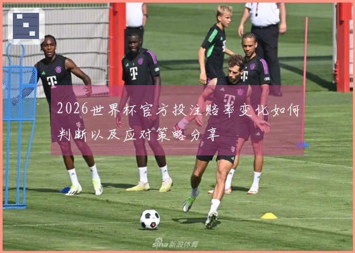 2026世界杯官方投注赔率变化如何判断以及应对策略分享