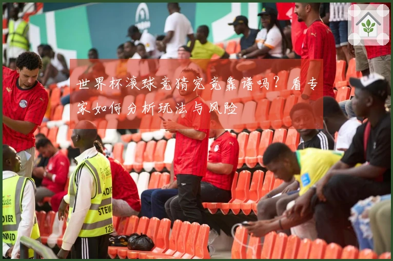 世界杯滚球竞猜究竟靠谱吗？看专家如何分析玩法与风险