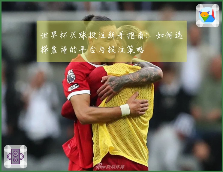 世界杯买球投注新手指南：如何选择靠谱的平台与投注策略