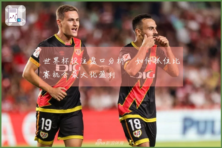世界杯投注盘口分析：如何抓住比赛机会最大化盈利