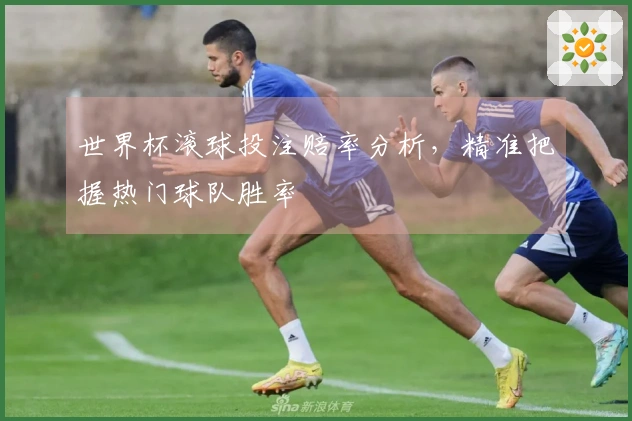 世界杯滚球投注赔率分析，精准把握热门球队胜率
