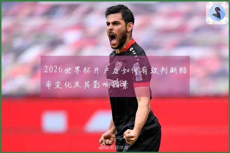 2026世界杯开户后如何有效判断赔率变化及其影响因素