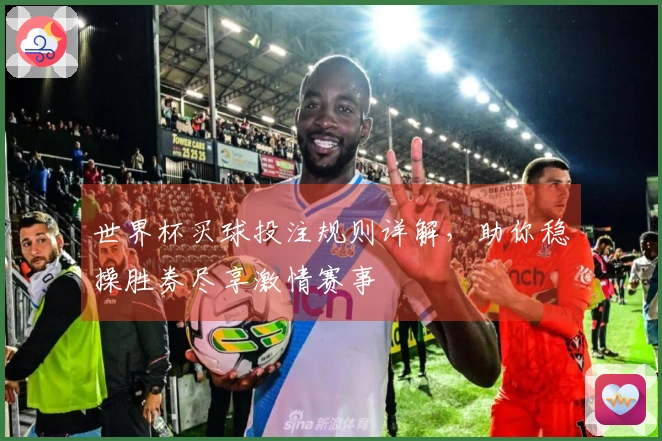世界杯买球投注规则详解，助你稳操胜券尽享激情赛事