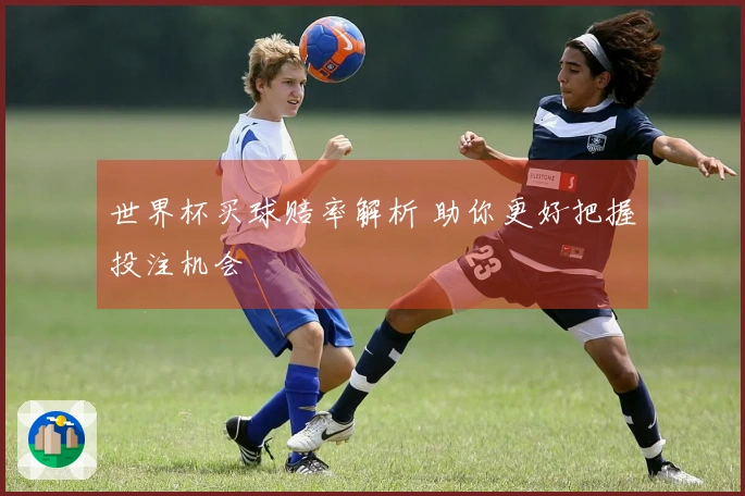 世界杯买球赔率解析 助你更好把握投注机会