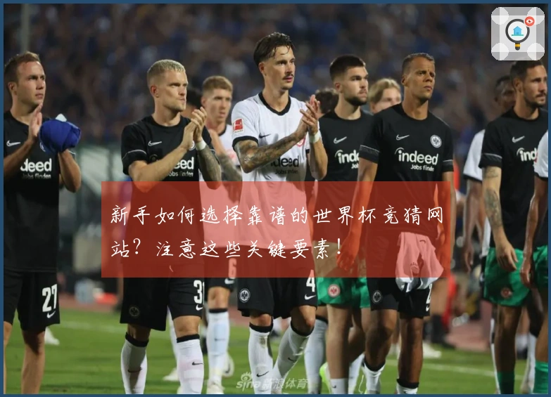 新手如何选择靠谱的世界杯竞猜网站？注意这些关键要素！