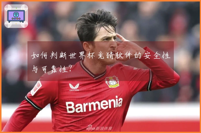 如何判断世界杯竞猜软件的安全性与可靠性？