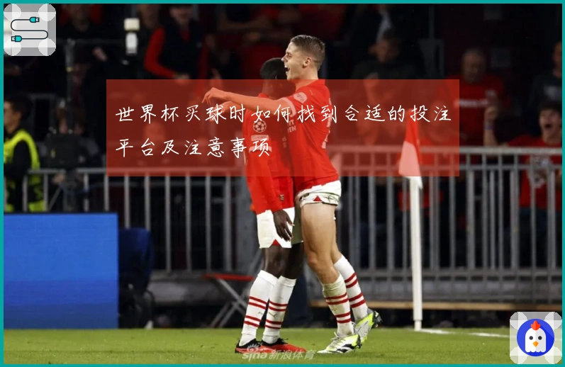 世界杯买球时如何找到合适的投注平台及注意事项