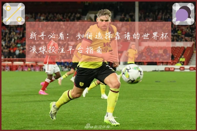 新手必看：如何选择靠谱的世界杯滚球投注平台指南