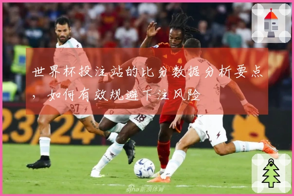 世界杯投注站的比分数据分析要点，如何有效规避下注风险