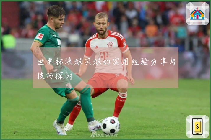 世界杯滚球买球的实用经验分享与技巧探讨