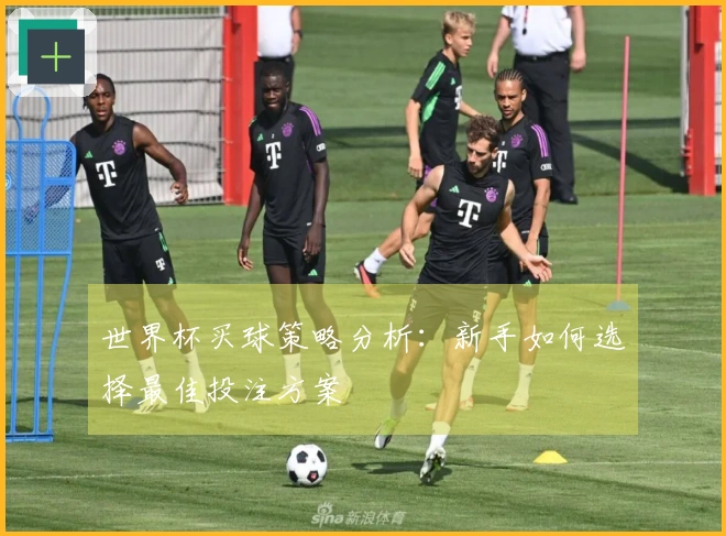 世界杯买球策略分析：新手如何选择最佳投注方案