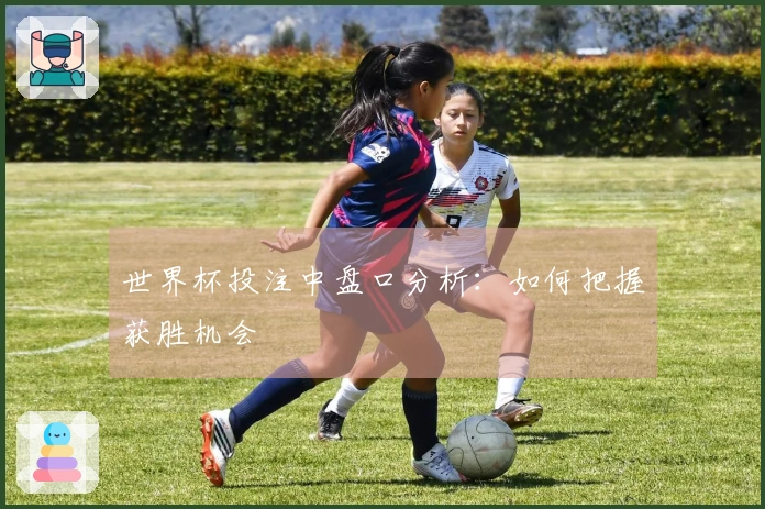 世界杯投注中盘口分析：如何把握获胜机会