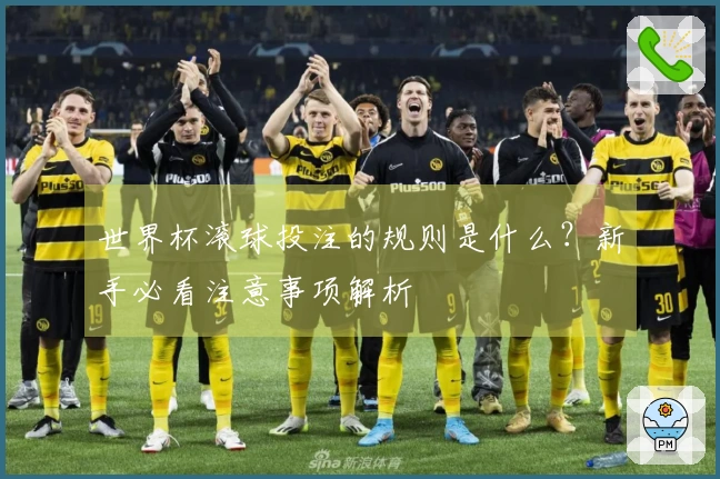 世界杯滚球投注的规则是什么？新手必看注意事项解析
