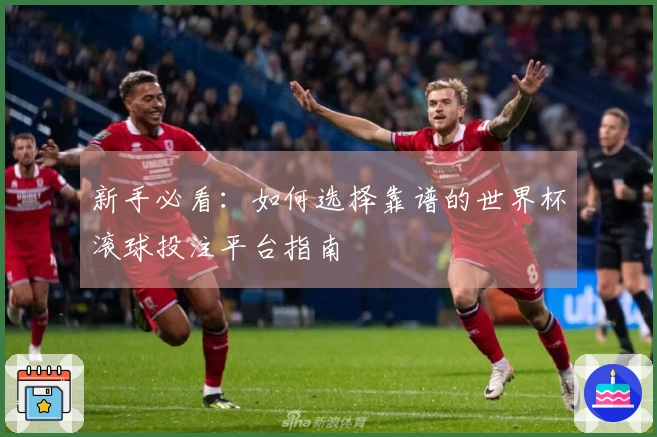 新手必看：如何选择靠谱的世界杯滚球投注平台指南