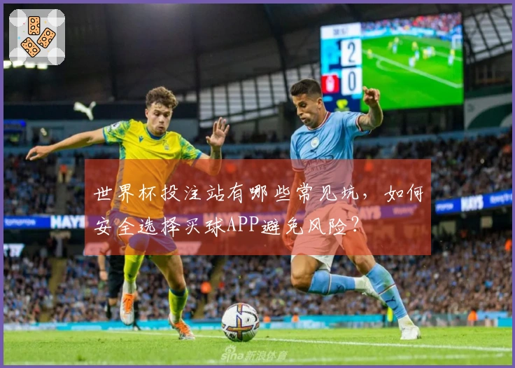 世界杯投注站有哪些常见坑，如何安全选择买球APP避免风险？