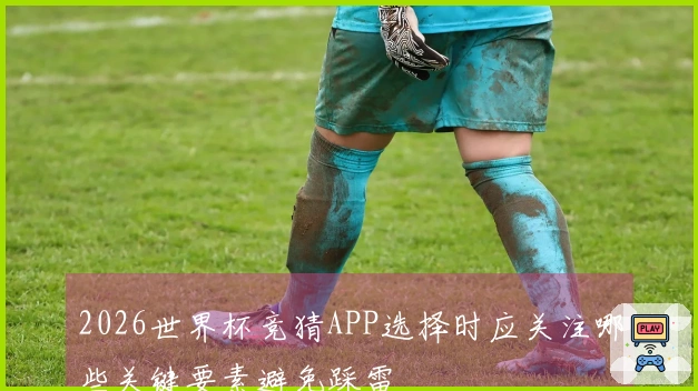 2026世界杯竞猜APP选择时应关注哪些关键要素避免踩雷