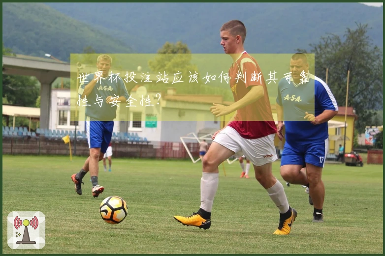 世界杯投注站应该如何判断其可靠性与安全性？