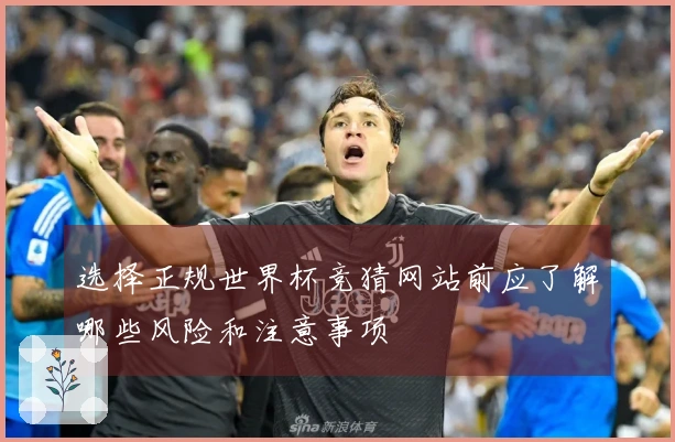 选择正规世界杯竞猜网站前应了解哪些风险和注意事项