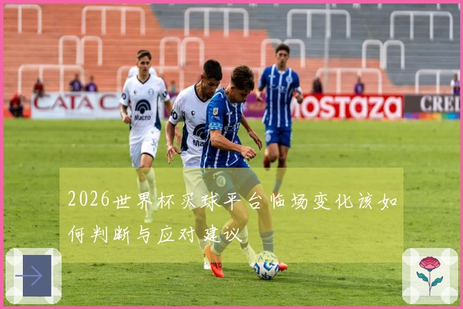 2026世界杯买球平台临场变化该如何判断与应对建议