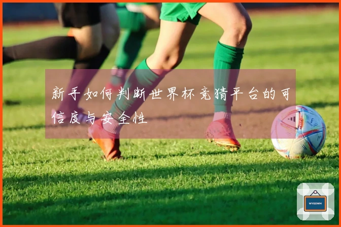 新手如何判断世界杯竞猜平台的可信度与安全性