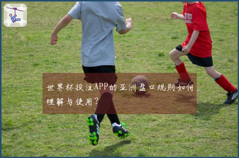 世界杯投注APP的亚洲盘口规则如何理解与使用？