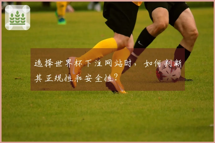 选择世界杯下注网站时，如何判断其正规性和安全性？