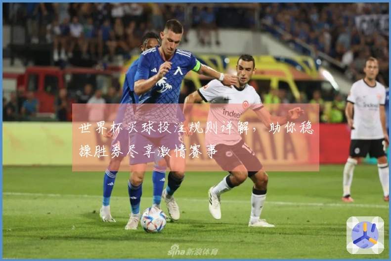 世界杯买球投注规则详解，助你稳操胜券尽享激情赛事