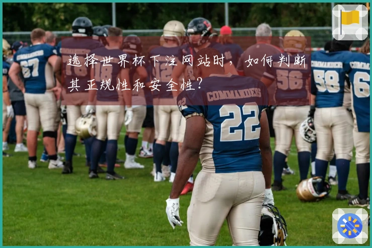 选择世界杯下注网站时，如何判断其正规性和安全性？