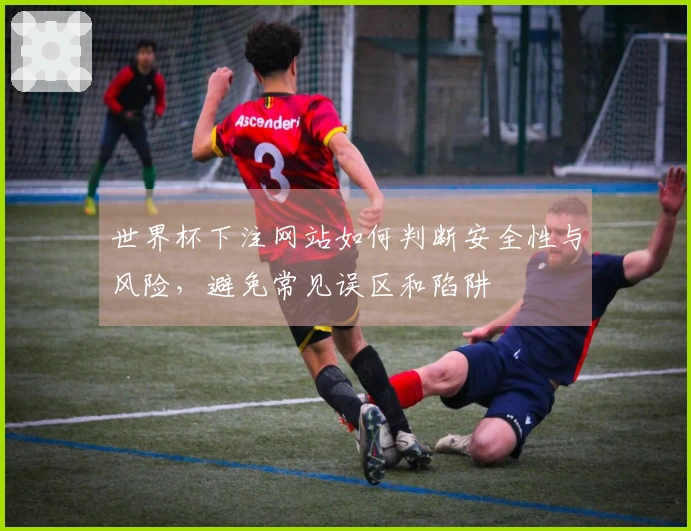 世界杯下注网站如何判断安全性与风险，避免常见误区和陷阱