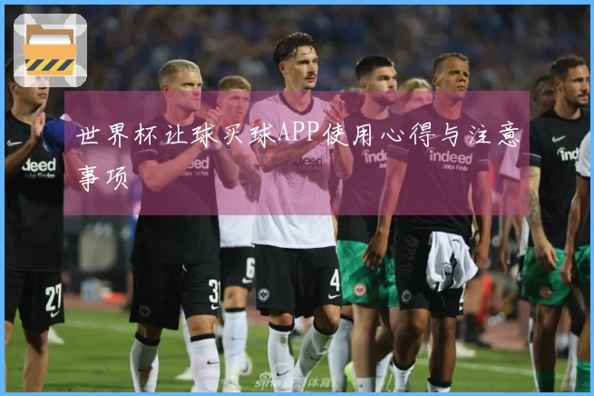世界杯让球买球APP使用心得与注意事项