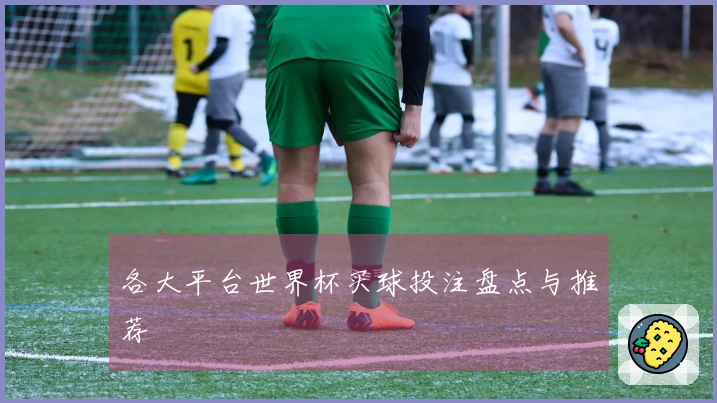 各大平台世界杯买球投注盘点与推荐