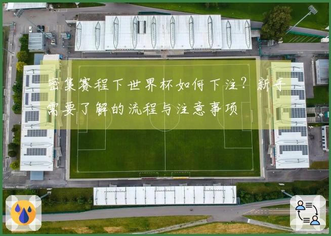 密集赛程下世界杯如何下注？新手需要了解的流程与注意事项