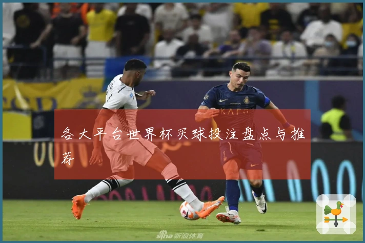 各大平台世界杯买球投注盘点与推荐