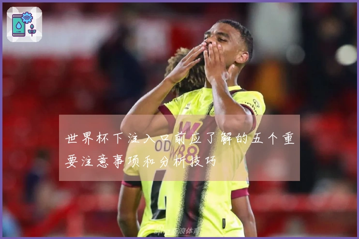 世界杯下注入口前应了解的五个重要注意事项和分析技巧