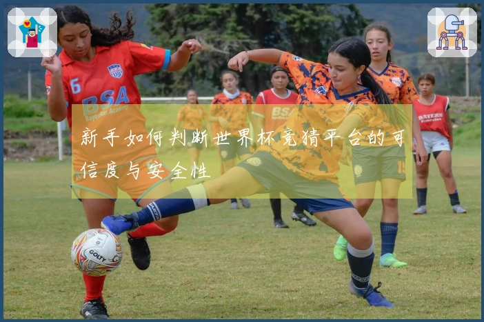 新手如何判断世界杯竞猜平台的可信度与安全性