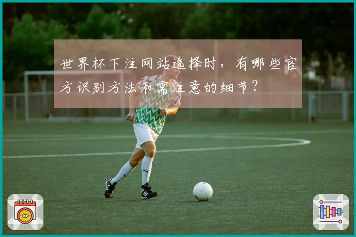 世界杯下注网站选择时，有哪些官方识别方法和需注意的细节？